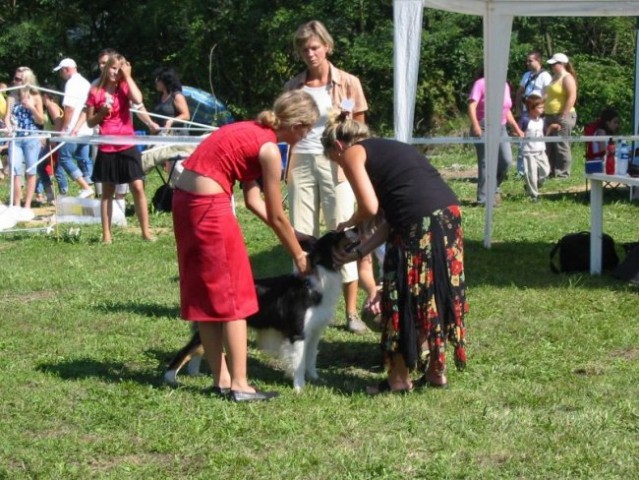 CAC Trbovlje (26.8.2008) - foto