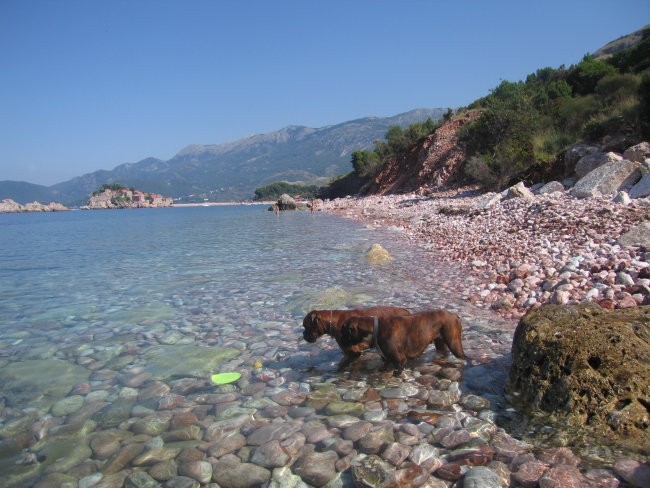 Montenegro - foto povečava