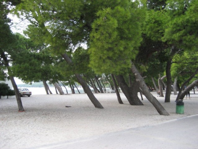 Plaža v makarski