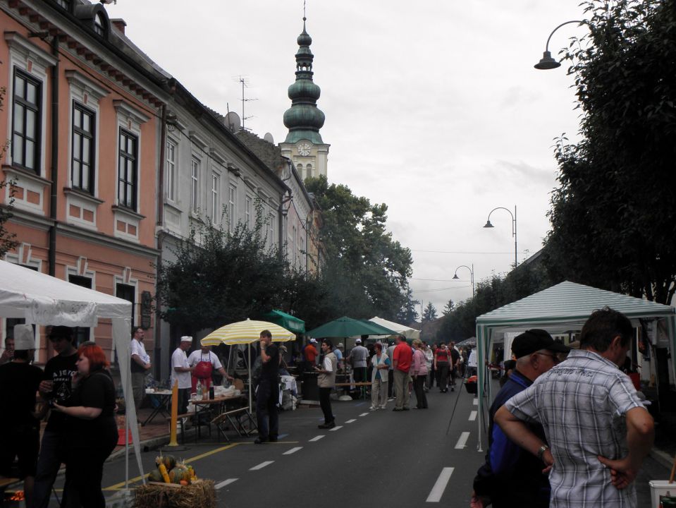 Bogračfest 2010 - foto povečava