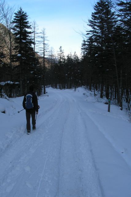 Okrešelj (18.2.2012) - foto