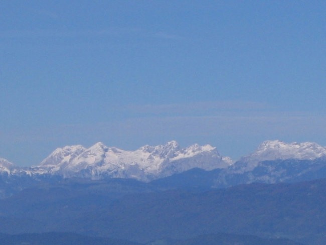 Kamniško-Savinjske