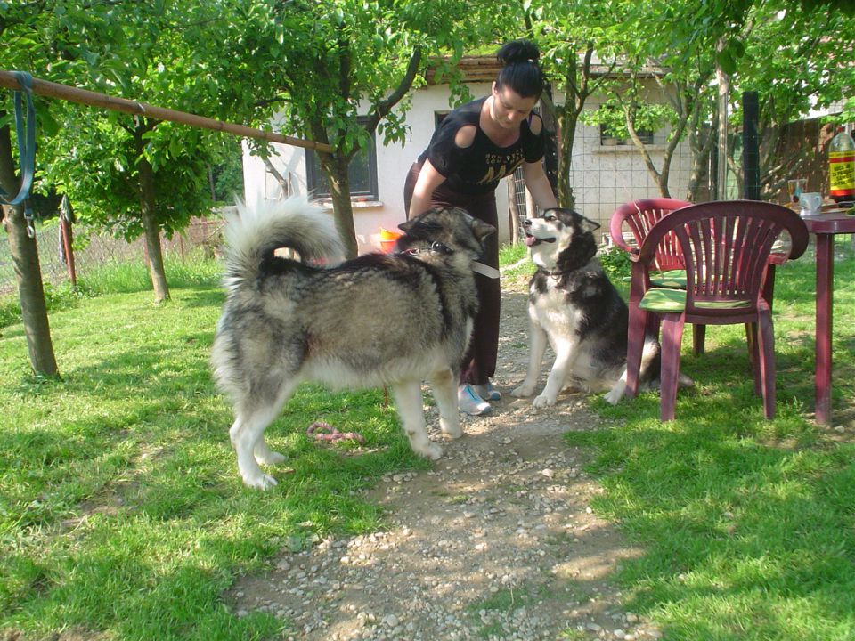 PUFFY , JA i LUNA