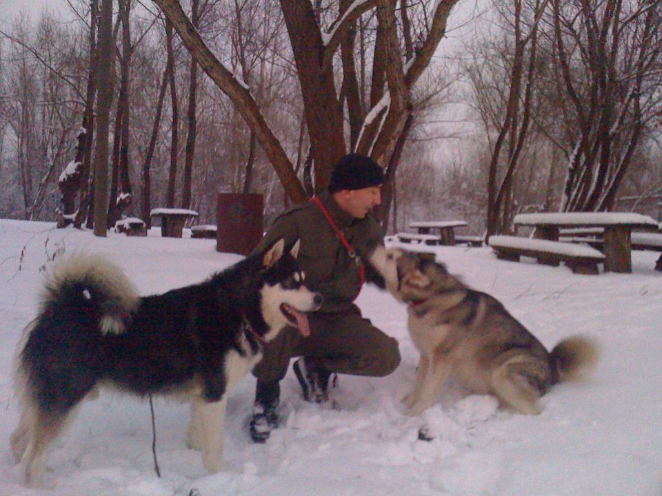 BUCK THE ALASKAN SNOWFLAKE - foto povečava