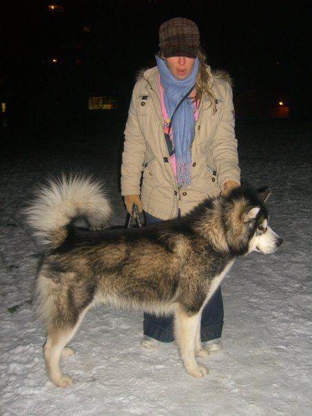 CASPER THE ALASKAN SNOWFLAKE - foto povečava