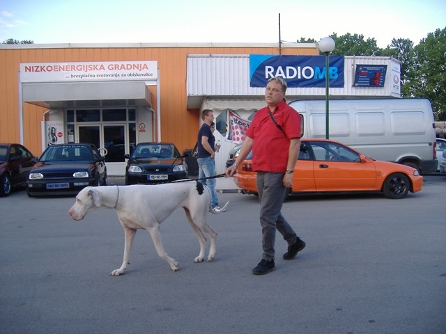 Gornja Radgona 2008 - foto