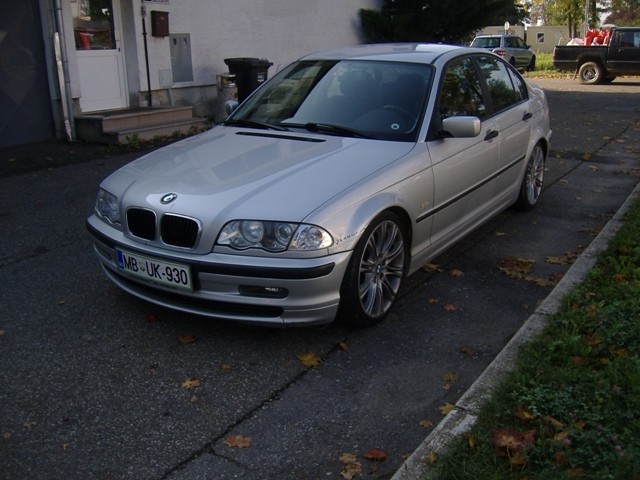 BMW Meško 2009 - foto