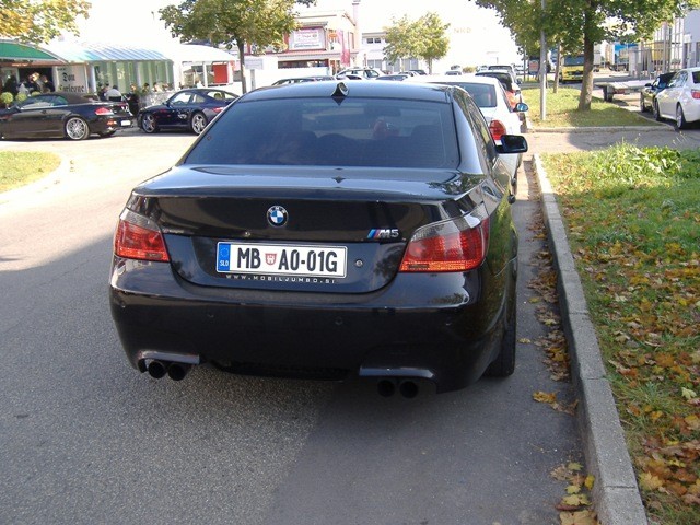 BMW Meško 2009 - foto povečava