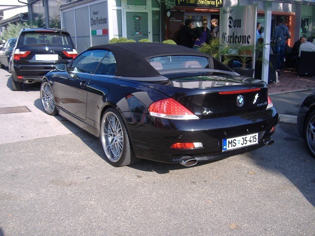 BMW Meško 2009 - foto povečava