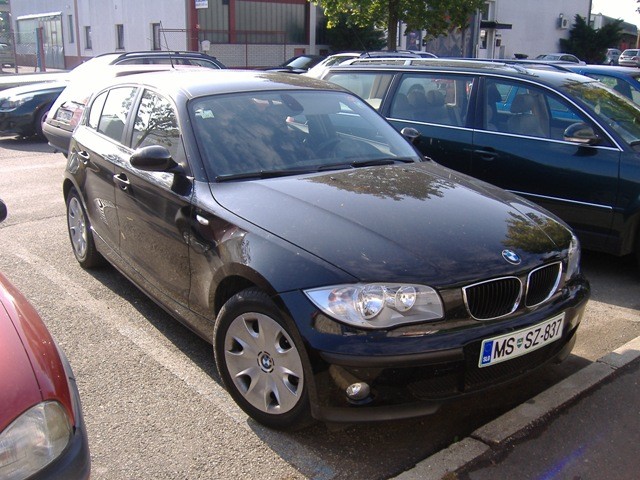 BMW Meško 2009 - foto