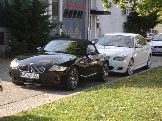 BMW Meško 2009 - foto povečava