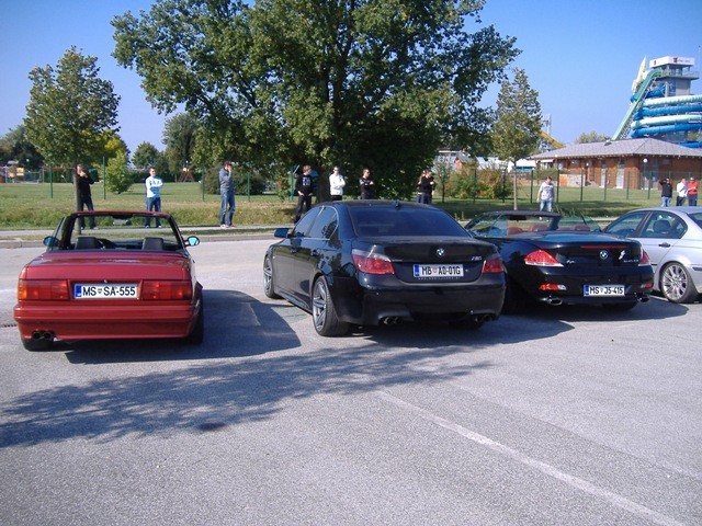 BMW Meško 2009 - foto povečava