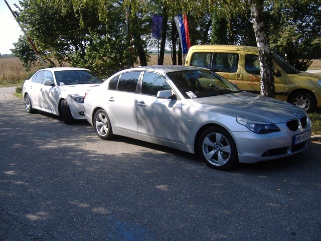 BMW Meško 2009 - foto povečava