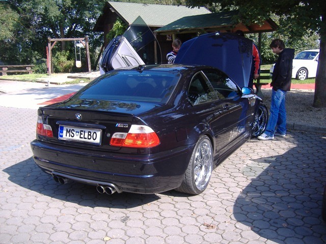 BMW Meško 2009 - foto povečava