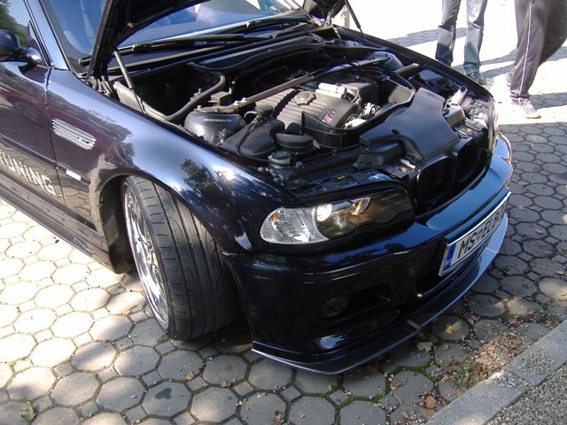 BMW Meško 2009 - foto povečava