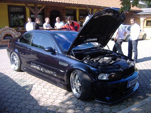 BMW Meško 2009 - foto povečava