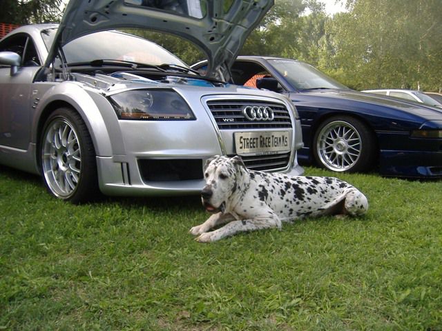 Sladki vrh 2010 Extreme car - foto