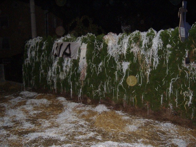 Jernej - rojstvo Lia - foto povečava