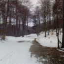 Križišče: po cesti ali skozi gozd na 1796m visok Snežnik.