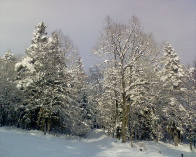 Levo na Kalič, naravnost do Šorcovih vlak.