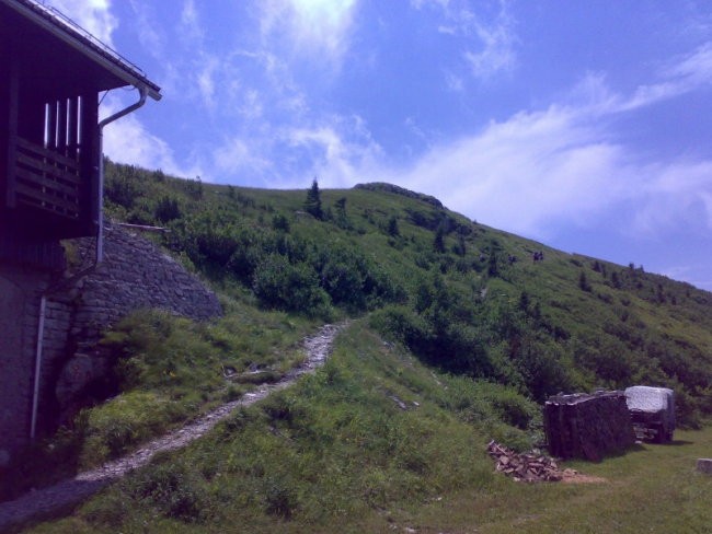 5. SKUPNA (četrtletna) MTB TURA - Blegoš - Po - foto povečava