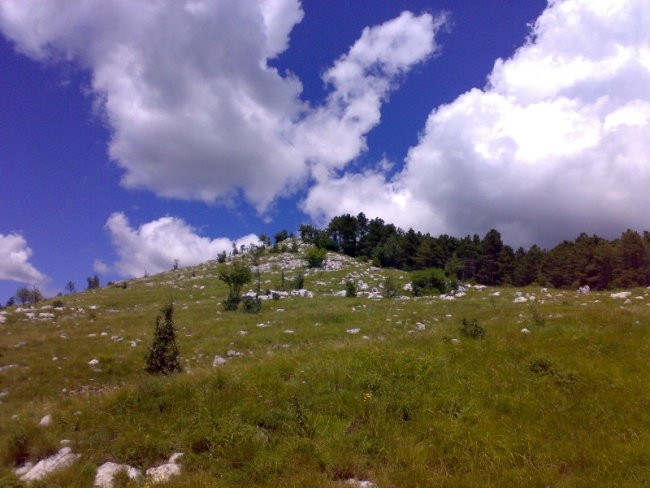 Okoli Snežnika 19.7.2008 - foto povečava