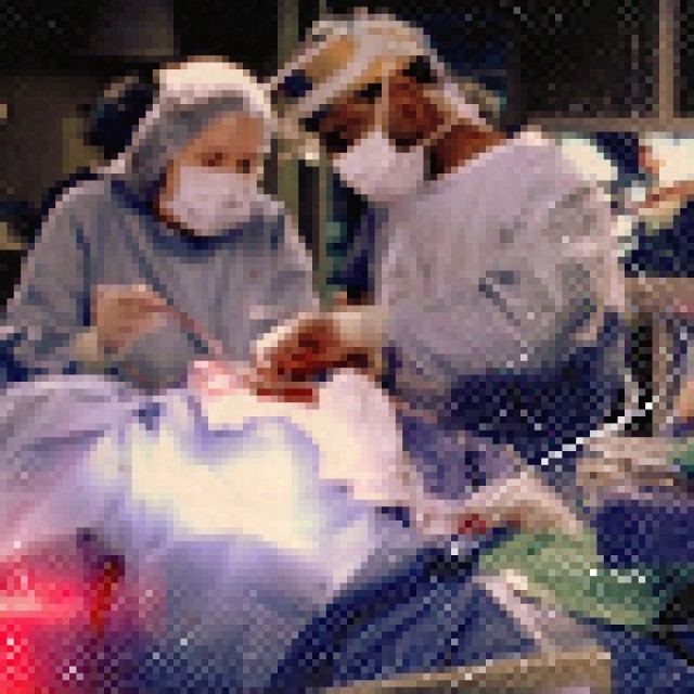 Grey's Anatomy - foto