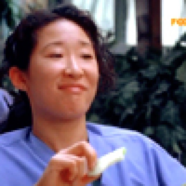 Grey's Anatomy - foto