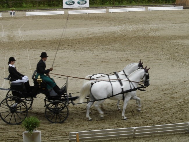 Piber 2007 - foto povečava