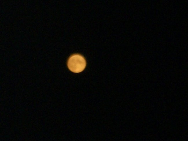 LUNA