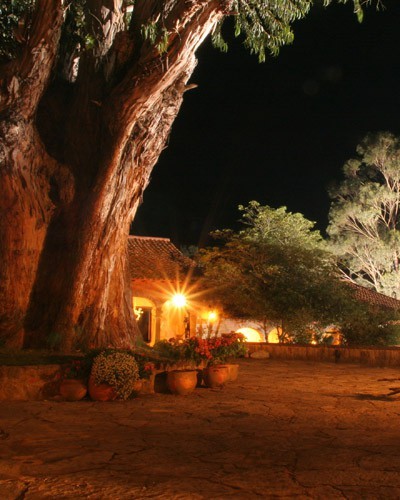 Fachada nocturna - foto