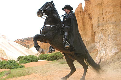 Zorro - foto povečava