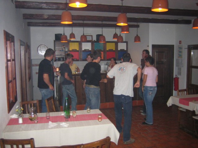 Trgatev 2006 - foto