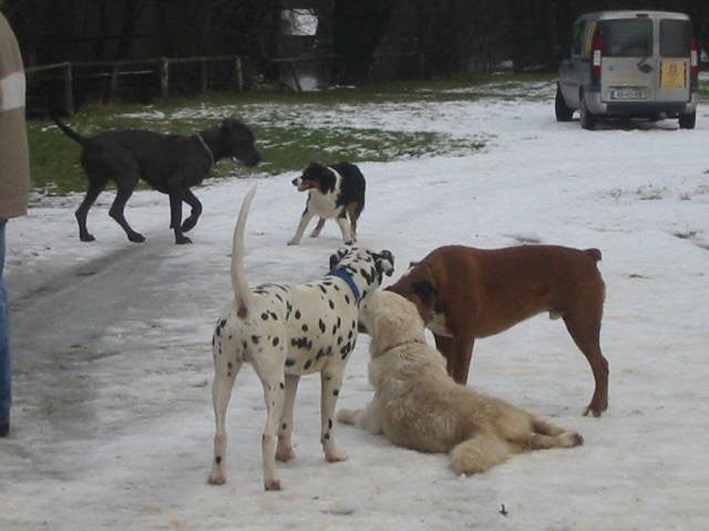 Otočec - 23.1.05 - foto