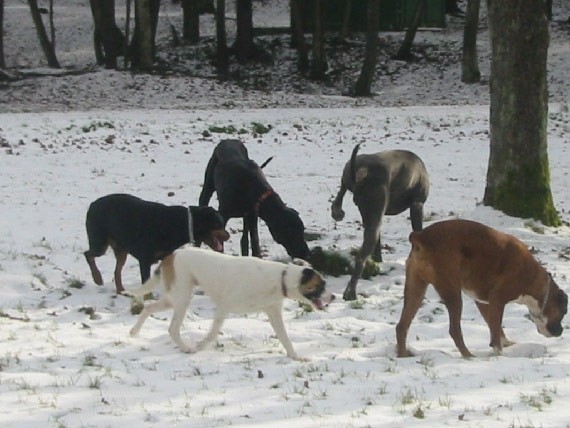 Otočec - 23.1.05 - foto