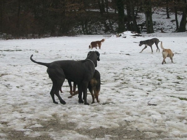 Otočec - 20.2.05 - foto