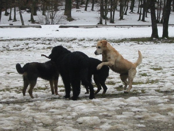 Otočec - 20.2.05 - foto
