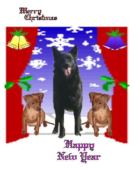 čestitke - foto povečava