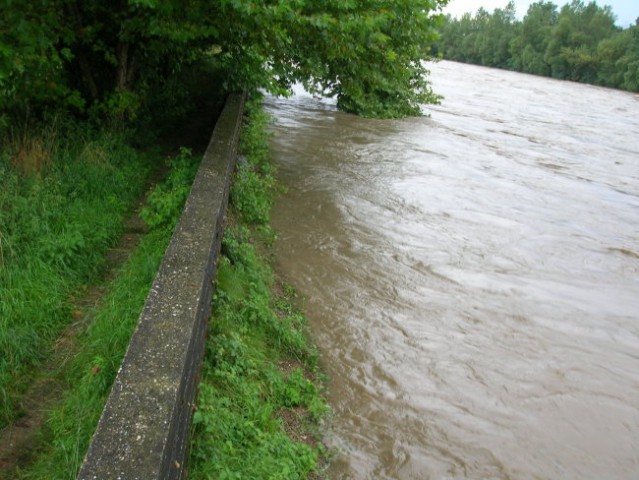 Mura visok vodostaj 1