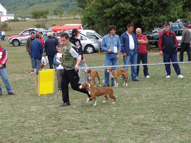 Cac posusje 2007 - foto