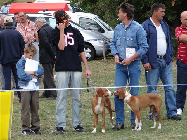 Cac posusje 2007 - foto povečava