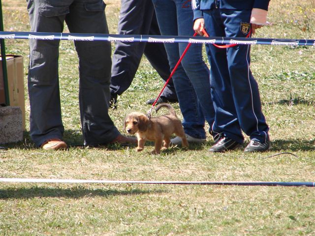 Cac posusje 2007 - foto povečava