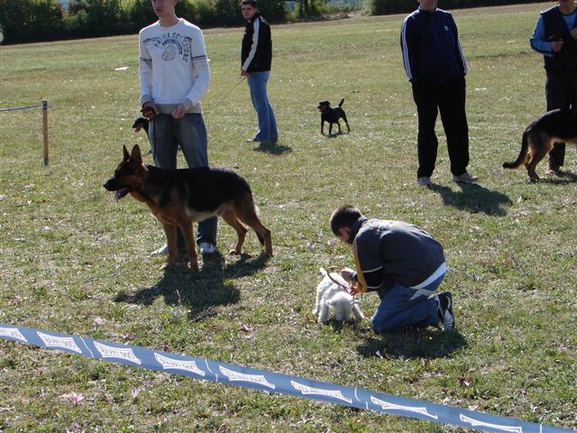 Cac posusje 2007 - foto