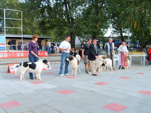 Osijek - foto povečava