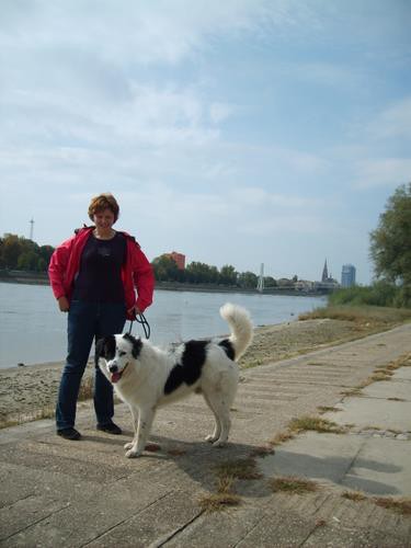 Osijek - foto