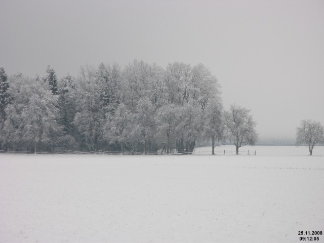 Snežena pokrajina