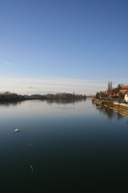 Ptuj - foto