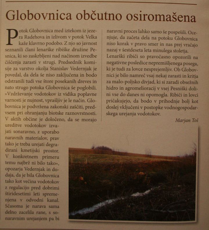 Globovnica - foto povečava