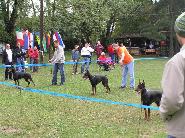 Alpe adria cup 2007 - foto povečava