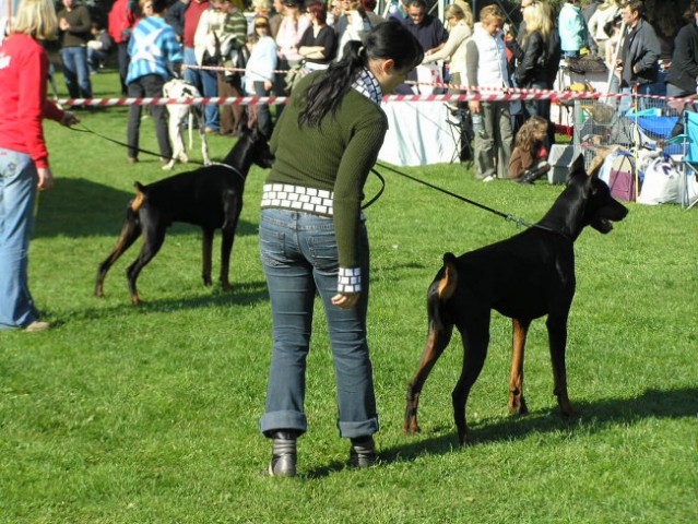 CAC Maribor 2007 - foto